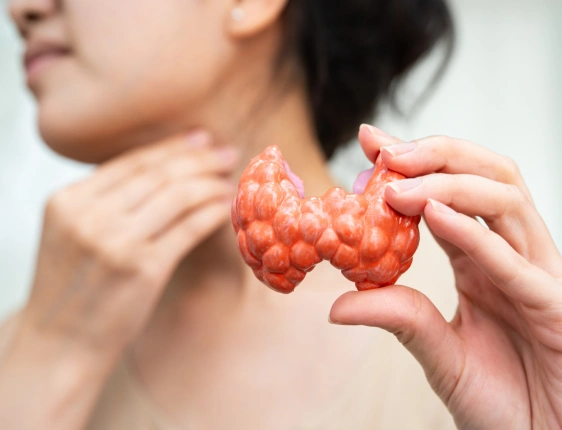 Board-certified endocrinologist reviewing hormone test results and providing personalized endocrine care consultation