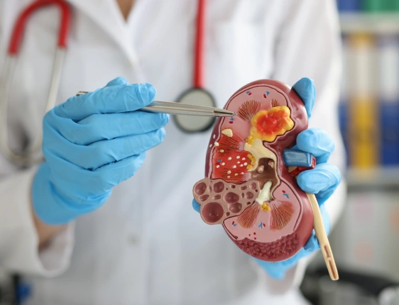 Board-certified urology specialist consulting with a patient about urinary and kidney health
