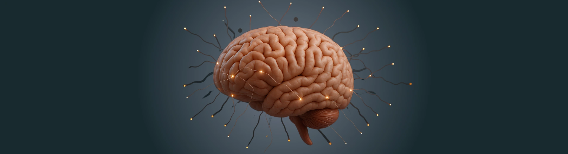 Board-certified neurology specialist providing expert diagnosis and treatment for brain, spinal cord, nerve, migraine, seizure, and neurological disorders.