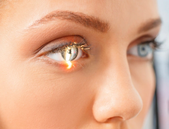 Ophthalmologist performing a comprehensive eye examination during a patient consultation for vision assessment and long-term eye health.
