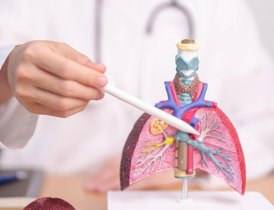 Pulmonology specialist consulting with a patient about lung health, breathing problems, asthma, COPD, sleep apnea, and respiratory disease treatment.
