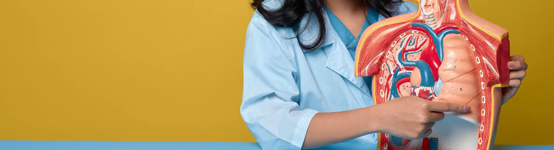 Board-certified pulmonology specialist providing expert diagnosis and treatment for asthma, COPD, lung disease, sleep apnea, and respiratory disorders.